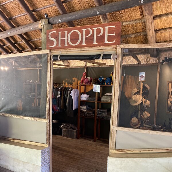 Lion Camp