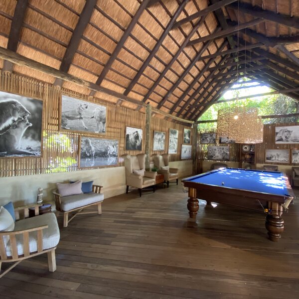 Lion Camp