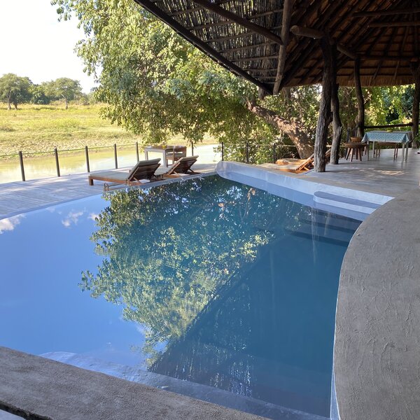 Lion Camp