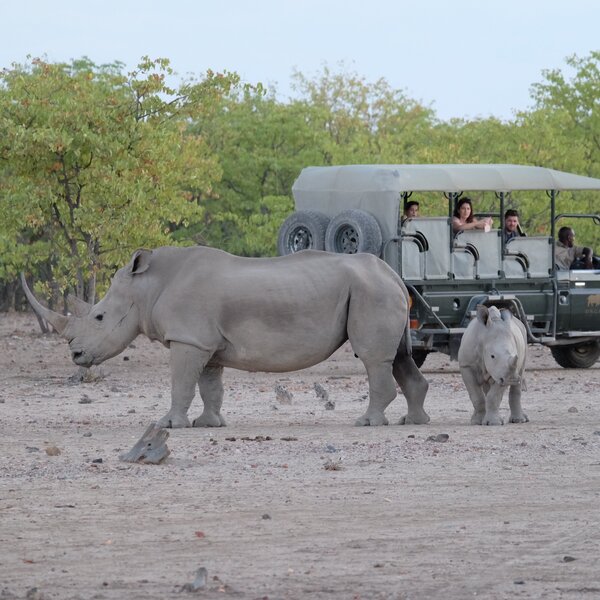 Andersson's at Ongava