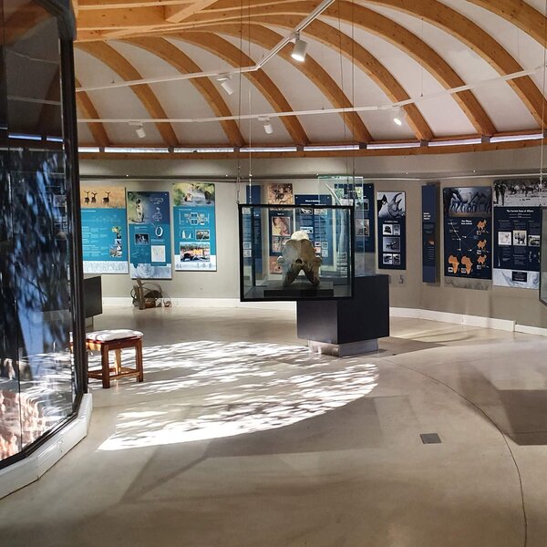 Andersson's at Ongava