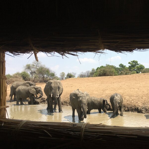 Mwamba Bushcamp