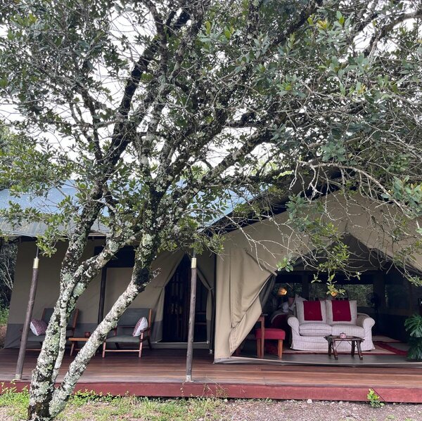 Kicheche Laikipia