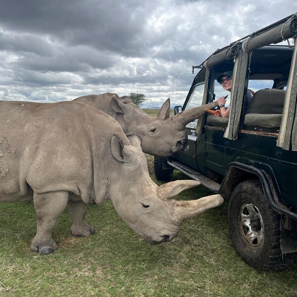 Kicheche Laikipia