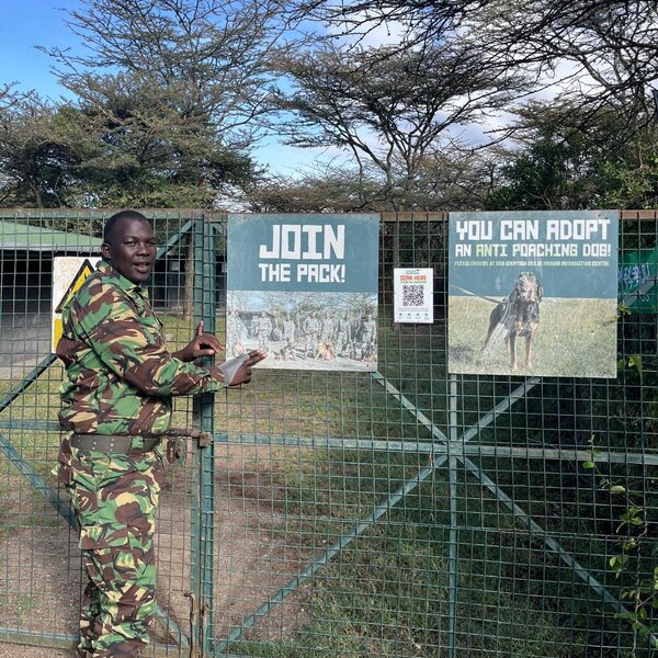 Kicheche Laikipia