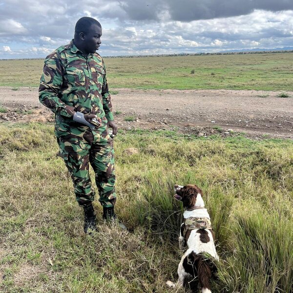 Kicheche Laikipia