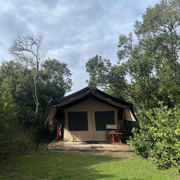 Ol Pejeta Bush Camp