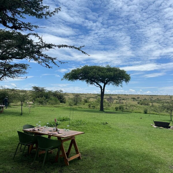 Lawn Lunch