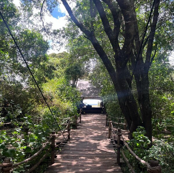 Mara Plains Camp