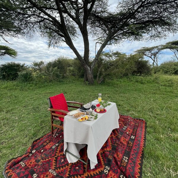 Mara Plains Camp