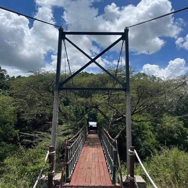 Mara Plains Camp