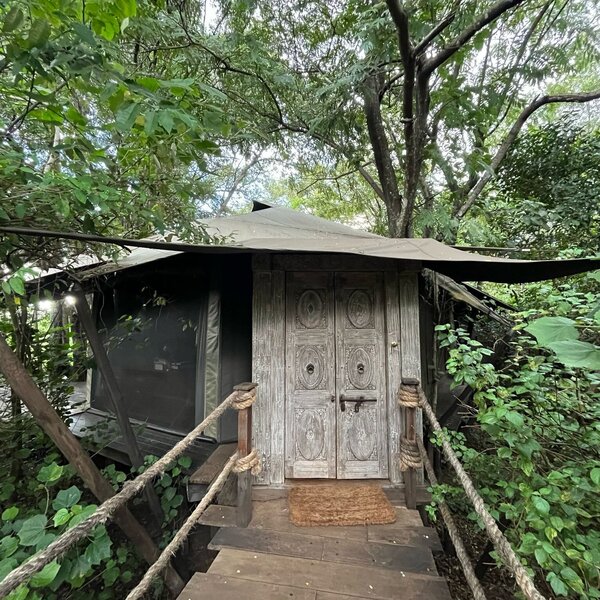 Mara Plains Camp