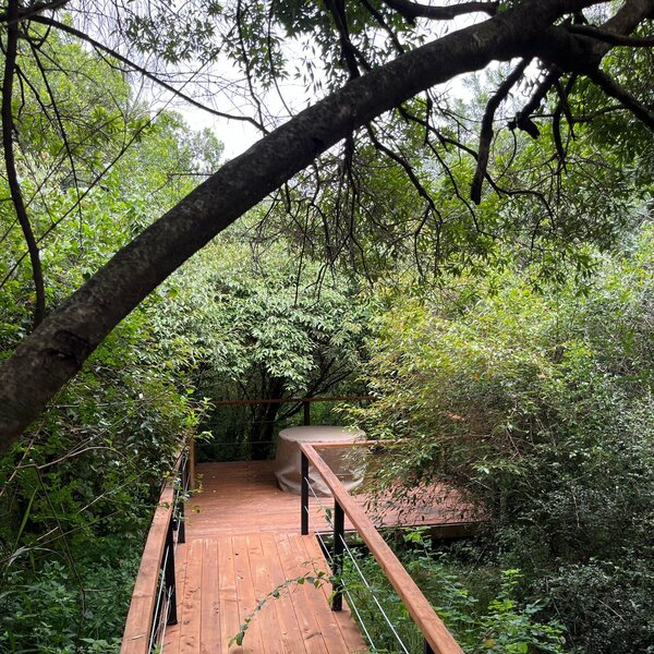 Mara Toto Tree Camp