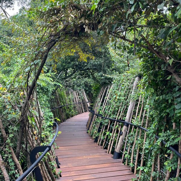 Mara Toto Tree Camp