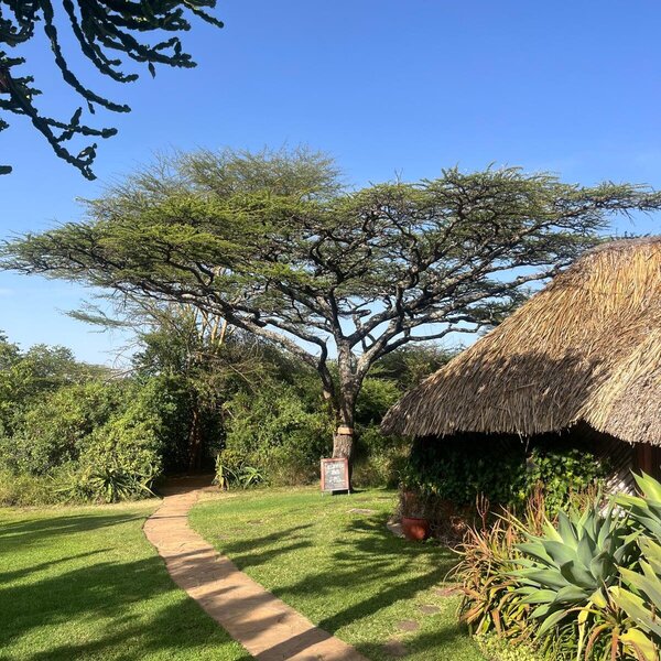 Lewa Safari Camp