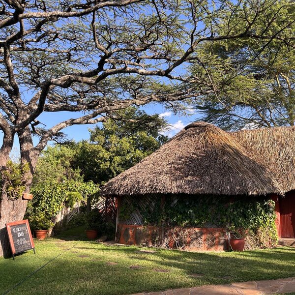 Lewa Safari Camp