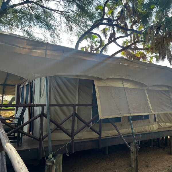 Elephant Bedroom