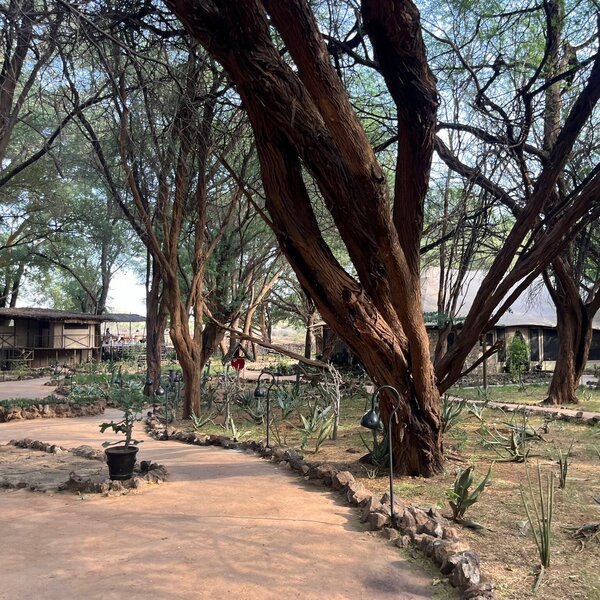 Larsens Tented Camp