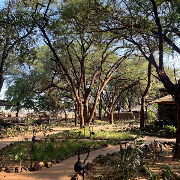 Larsens Tented Camp