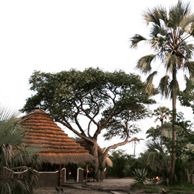 Camp Kalahari is nestled amongst acacia and palm trees, on the edge of the Makgadikgadi Salt Pans.