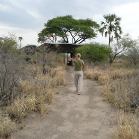 Sandy paths lead from the main area to the tents.
