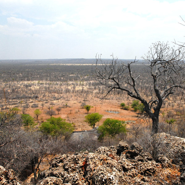 Little Ongava