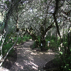 ...with winding pathways guiding you to the main buildings.