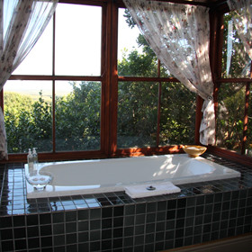 ...with bath tubs overlooking the forest.