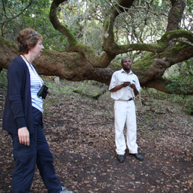 Activities include joining guided walks through the forest...