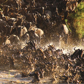 …may lead you to see a spectacular river crossing.