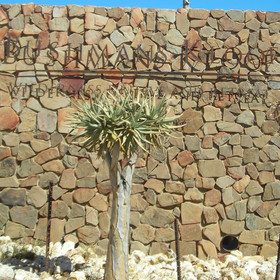 Bushmans Kloof is located in Cedarberg Mountains of Namaqualand in South Africa.