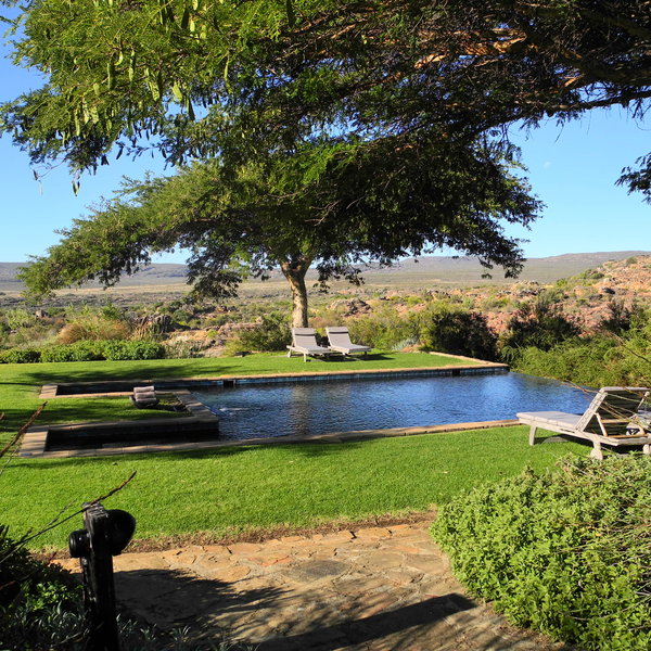 ...or can swim in spacious pool.