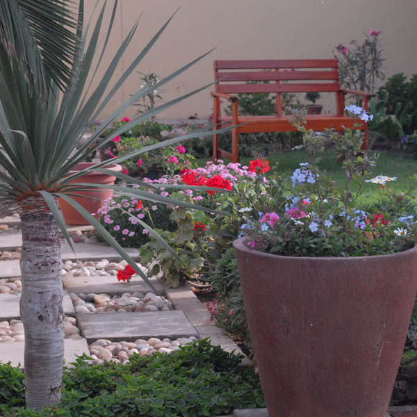 ...looking out over the pretty garden.