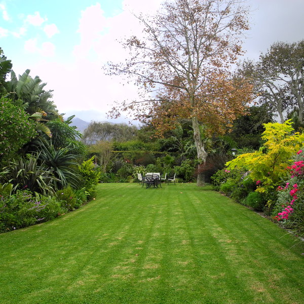 The Constantia