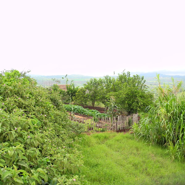 ...between the Ngorongoro Crater and the Rift Valley Escarpment.