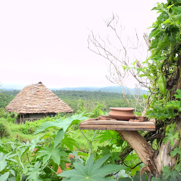 The well spaced tents are all shaded by thatched roofs...