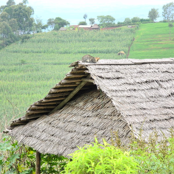 On the hill opposite sits the children's home...