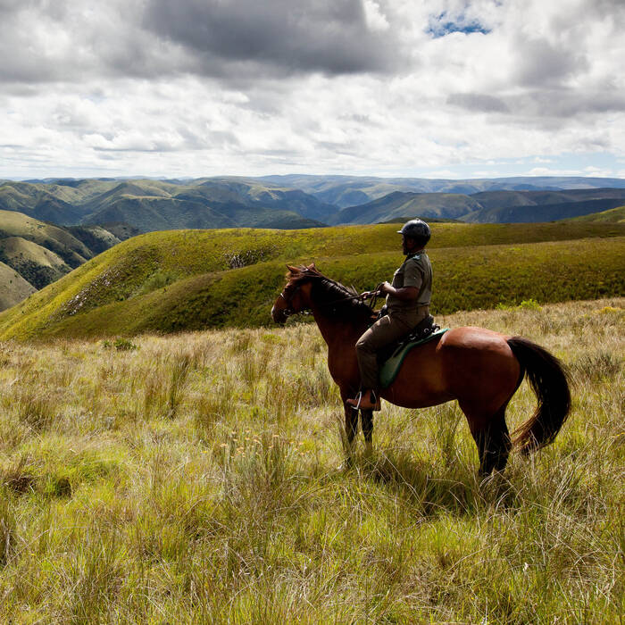 Riding holidays