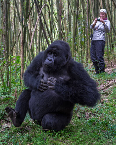Photography holidays in Rwanda