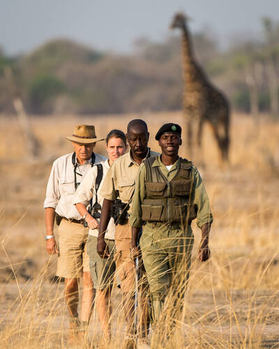 Walking safaris in Zambia