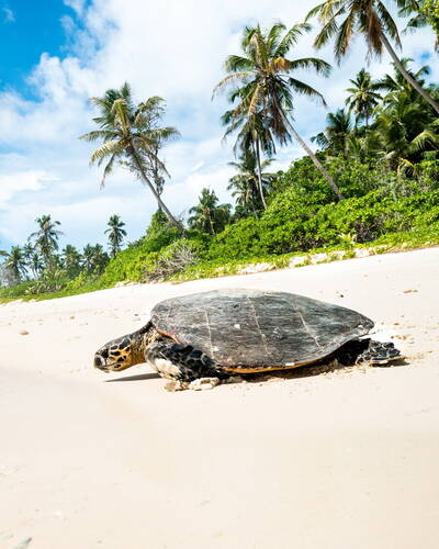 Beach holidays in Seychelles