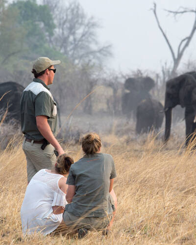 Walking safaris in Namibia