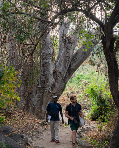 Walking in Malawi