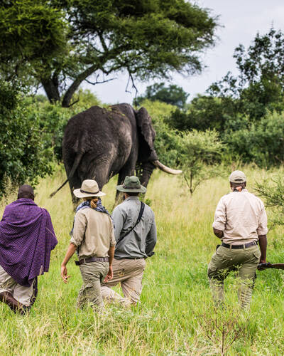 Walking safaris in Tanzania