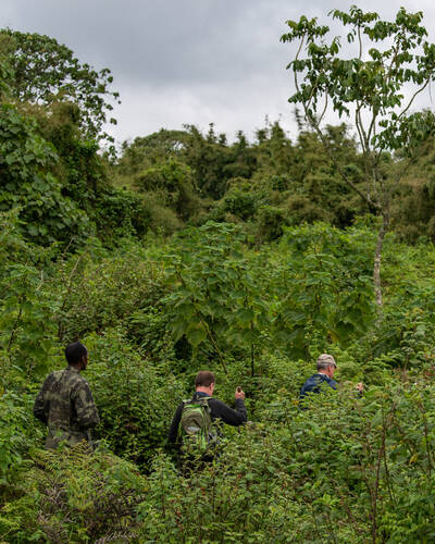 Walking in Rwanda