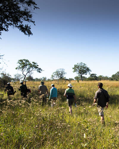 Walking in Botswana