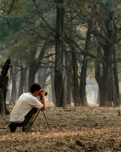 Photography holidays in Zambia