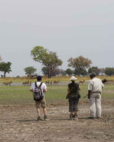 Walking safaris in Botswana