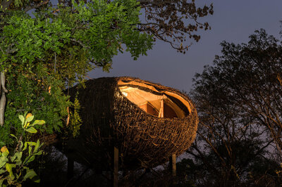 The Nest at Chisa Busanga, Kafue, Zambia