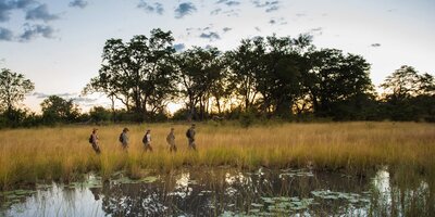 Walking in the area of Sitatunga Private Island Camp - deep in the Okavango Delta.